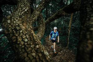 BIB: 
                            <button type="button" onclick="openModal(25696935)" class="btn btn-primary btn-sm float-right btn-popup" data-toggle="modal" data-target=".modal-high-quality">
                        <i class="fas fa-shopping-cart"></i> Add to Cart
                    </button>
                                            <button type="button" onclick="isThisMe(25696935, true)" class="btn btn-success btn-sm float-right btn-popup btn-isme hidden" data-toggle="tooltip" data-placement="bottom" title="นี่คือรูปของคุณใช่ไหม คลิกที่นี่เพื่อเอาเข้าอัลบั้ม">
                        <i class="fas fa-plus"></i> Add to album
                    </button>
                    <button type="button" onclick="isThisMe(25696935, false)" class="btn btn-warning btn-sm float-right btn-popup btn-isnotme hidden">
                        <i class="fas fa-ban"></i> Remove from album
                    </button>